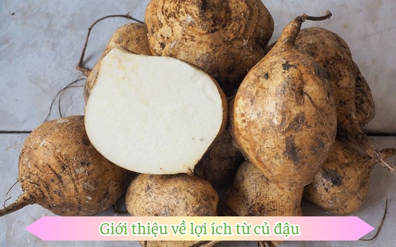 Giới thiệu về lợi ích từ củ đậu