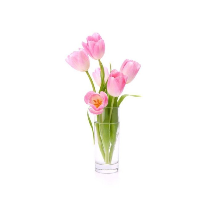 Avatar hoa Tulip đa dạng màu 1