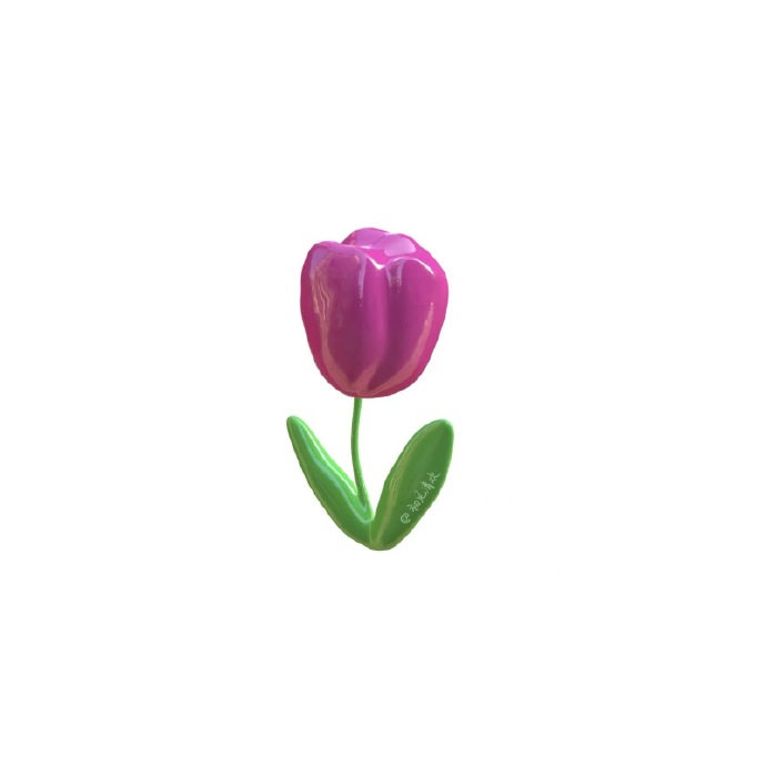 Avatar hoa Tulip đa dạng màu 11