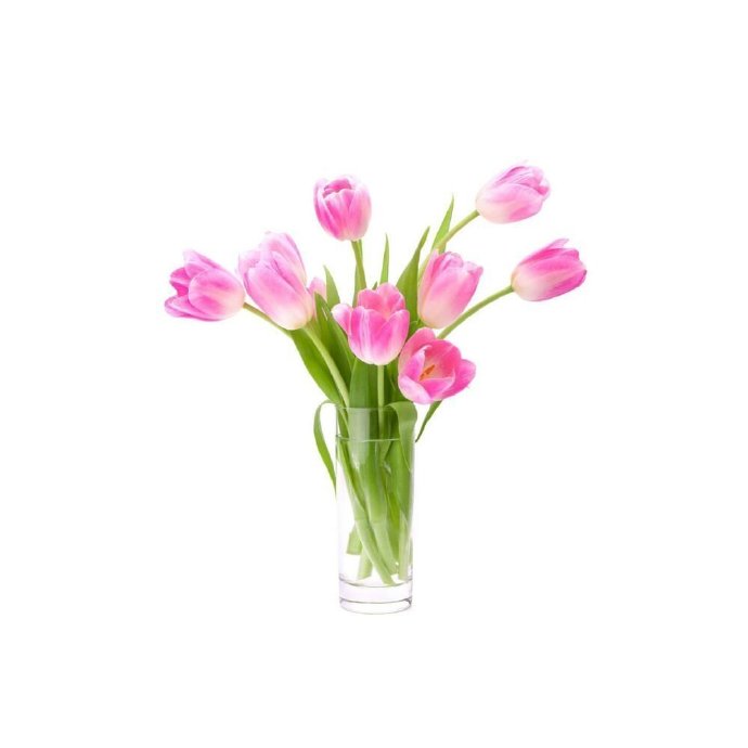 Avatar hoa Tulip đa dạng màu 2