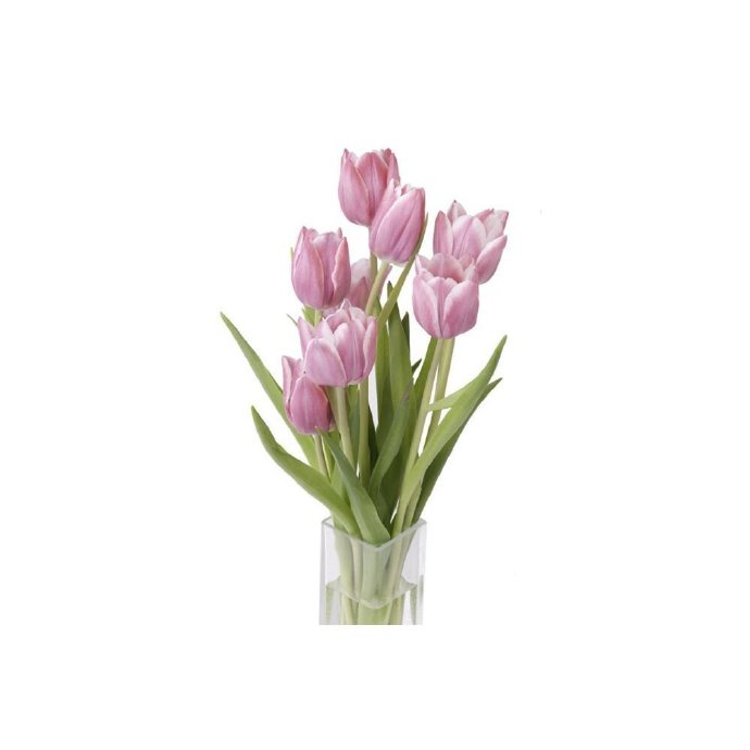 Avatar hoa Tulip đa dạng màu 5