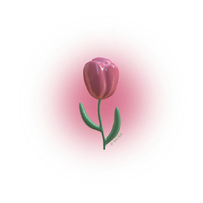 Avatar hoa Tulip đa dạng màu 8