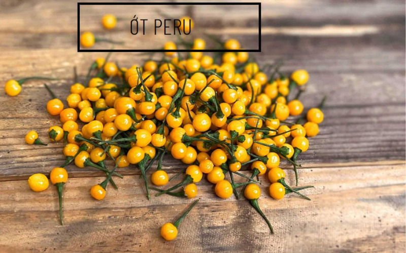 Đặc trưng của ớt peru