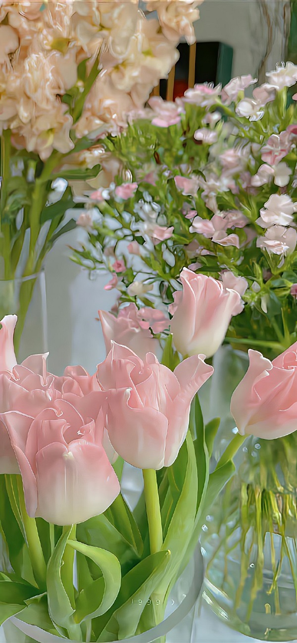 hình nền điện thoại hoa tulip​ 6