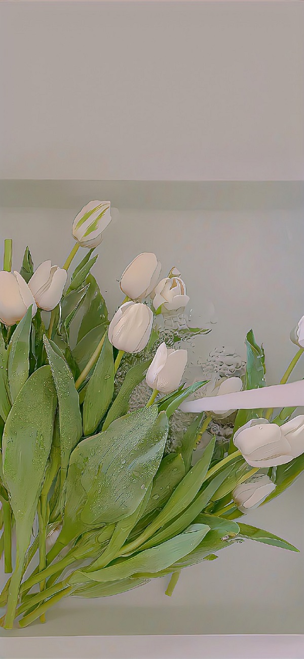 hình nền hoa tulip đẹp​ 7