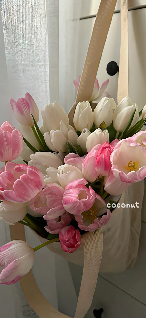 hình nền hoa tulip full hd​ 5