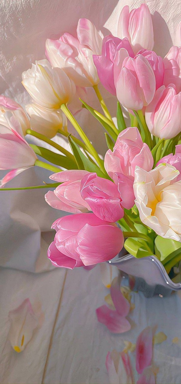 hình nền hoa tulip full hd​ 9