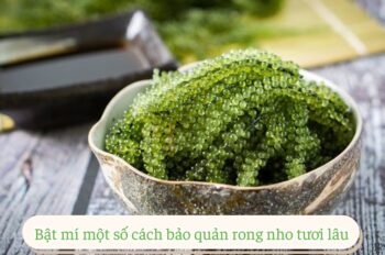 Mẹo vặt cách bảo quản rong nho tươi giữ độ giòn mỗi ngày