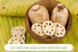 Bật mí 11+ cách bảo quản củ sen tươi tại nhà bạn cần biết