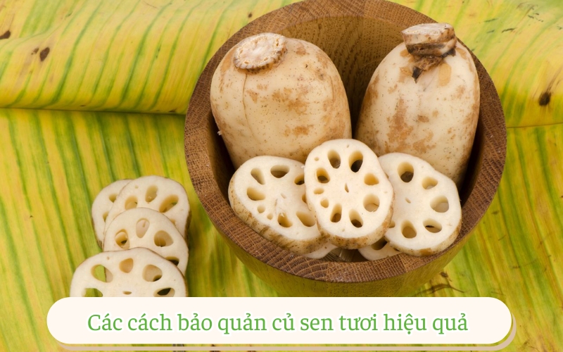 Các cách bảo quản củ sen tươi hiệu quả