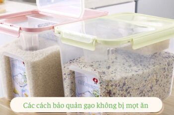 Bật mí 10+ cách bảo quản gạo không bị mọt ăn hiệu quả nhất