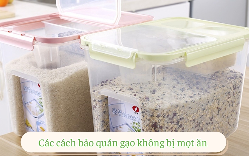 Các cách bảo quản gạo không bị mọt ăn