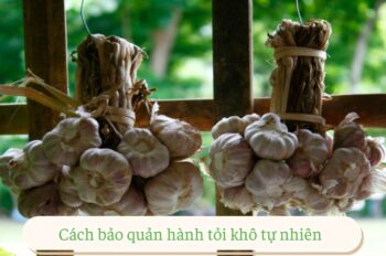 Cách bảo quản hành tỏi khô để tăng tuổi thọ và hương vị