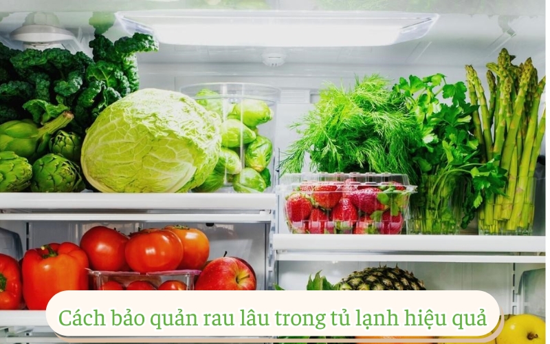 Cách bảo quản rau lâu trong tủ lạnh hiệu quả 