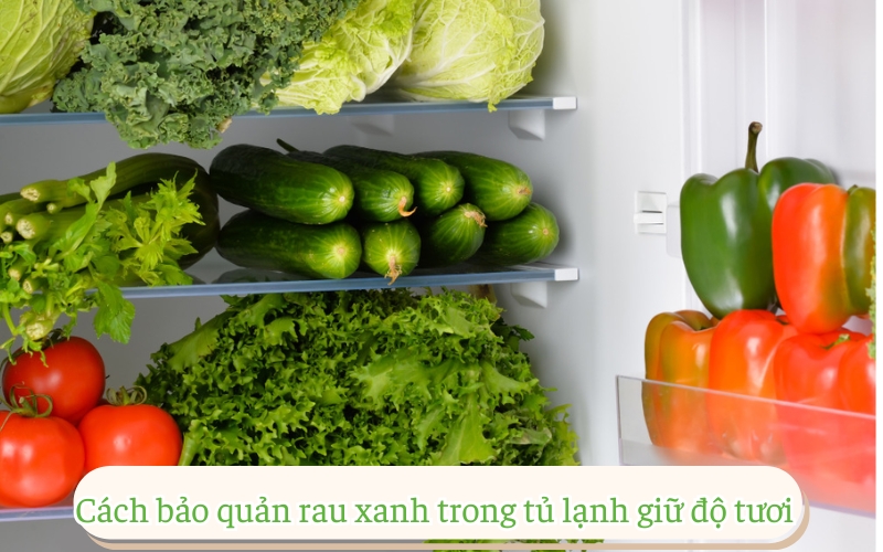 Cách bảo quản rau xanh trong tủ lạnh giữ độ tươi