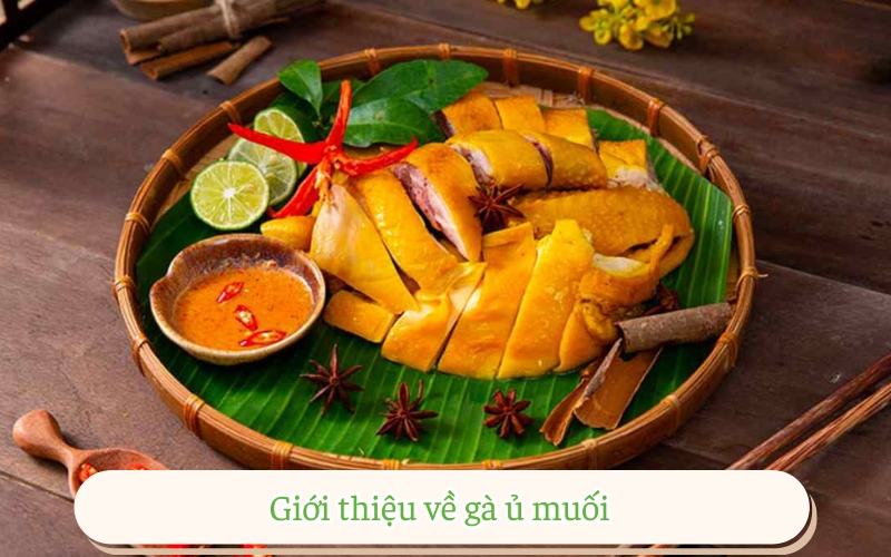 Giới thiệu về gà ủ muối