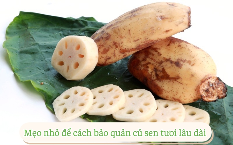 Mẹo nhỏ để cách bảo quản củ sen tươi lâu dài