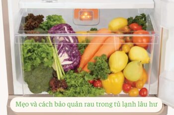 Cách bảo quản rau trong tủ lạnh đúng để bảo vệ dinh dưỡng