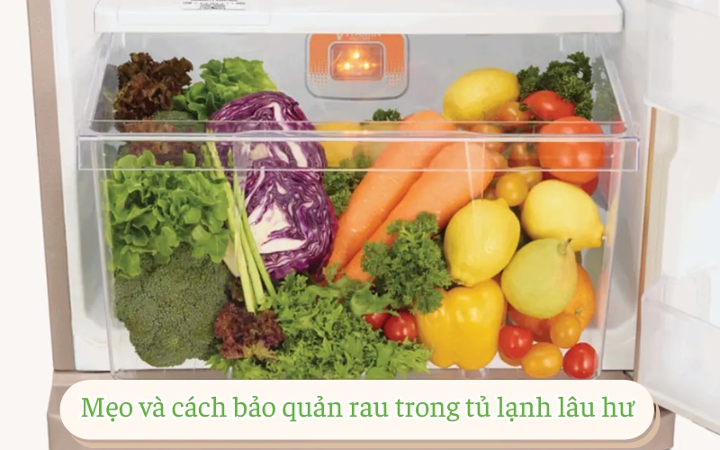 Mẹo và cách bảo quản rau trong tủ lạnh lâu hư​