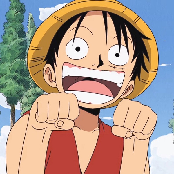 avatar luffy cute 6