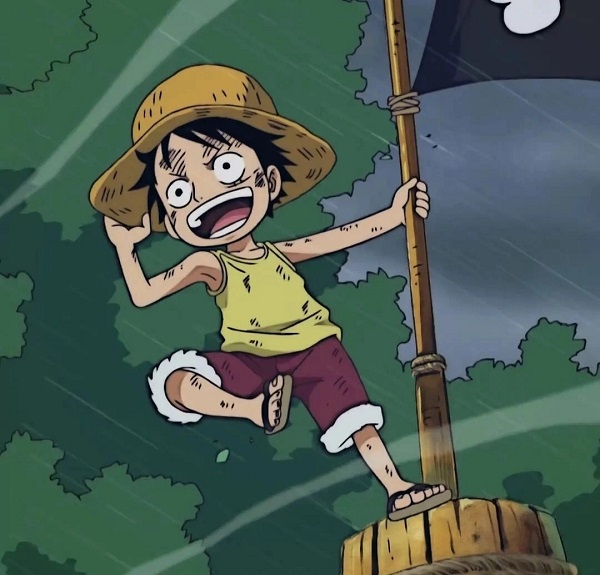 avatar one piece luffy​