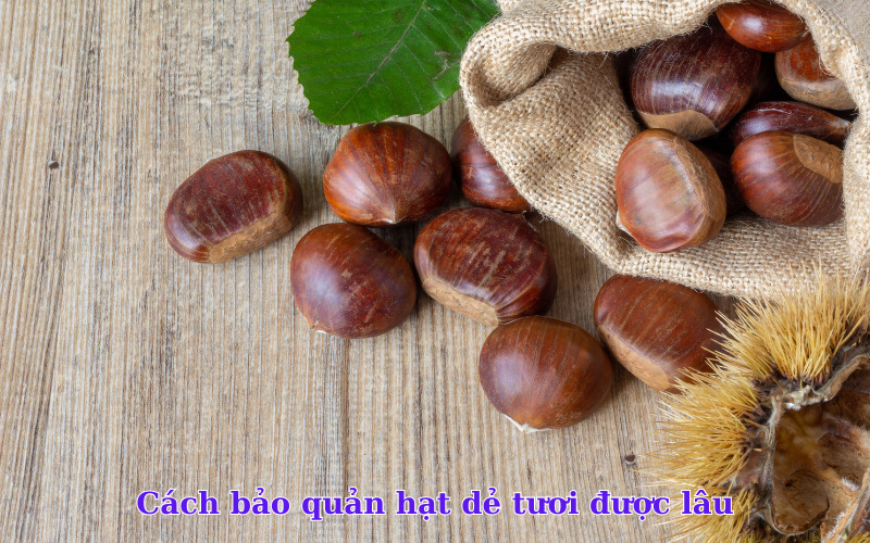 Cách bảo quản hạt dẻ tươi được lâu