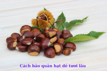 Tiết lộ cách bảo quản hạt dẻ tươi giữ được hương vị đậm đà