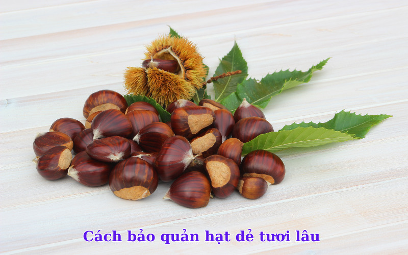 Cách bảo quản hạt dẻ tươi lâu 