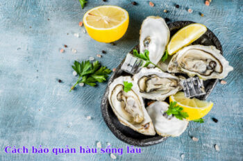 Bật mí 3 cách bảo quản hàu sống tươi ngon như mới mua