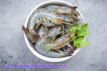 Cách bảo quản tôm tươi giúp giữ được độ săn chắc & thơm ngon