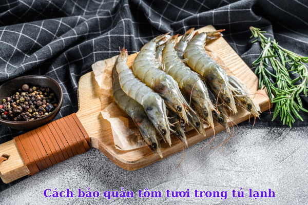 Cách bảo quản tôm tươi trong tủ lạnh