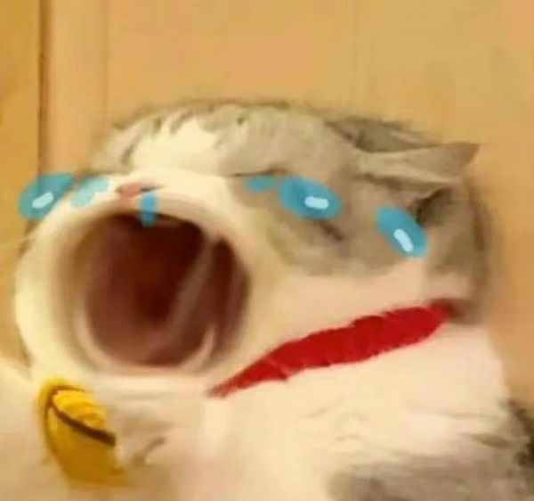 cat crying meme 7