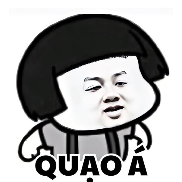 gấu trúc meme 8