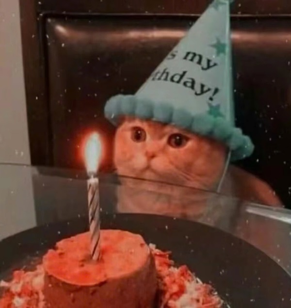 happy birthday meme 6