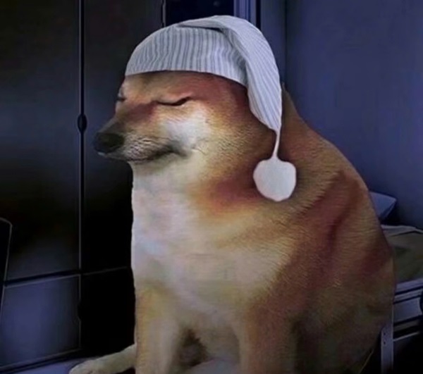 meme chó shiba​ 1