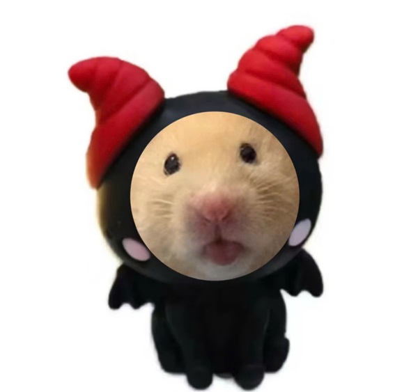 meme chuột hamster 10