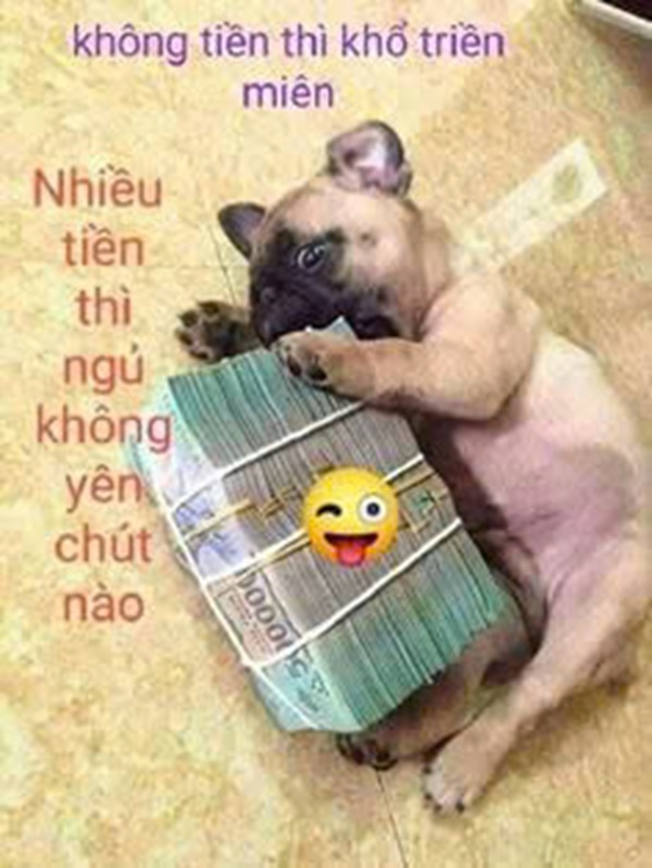 meme hết tiền 29