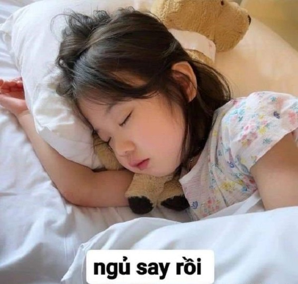 meme ngủ đi 14