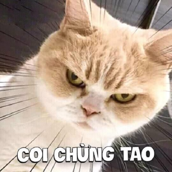 meme tức giận hài 11