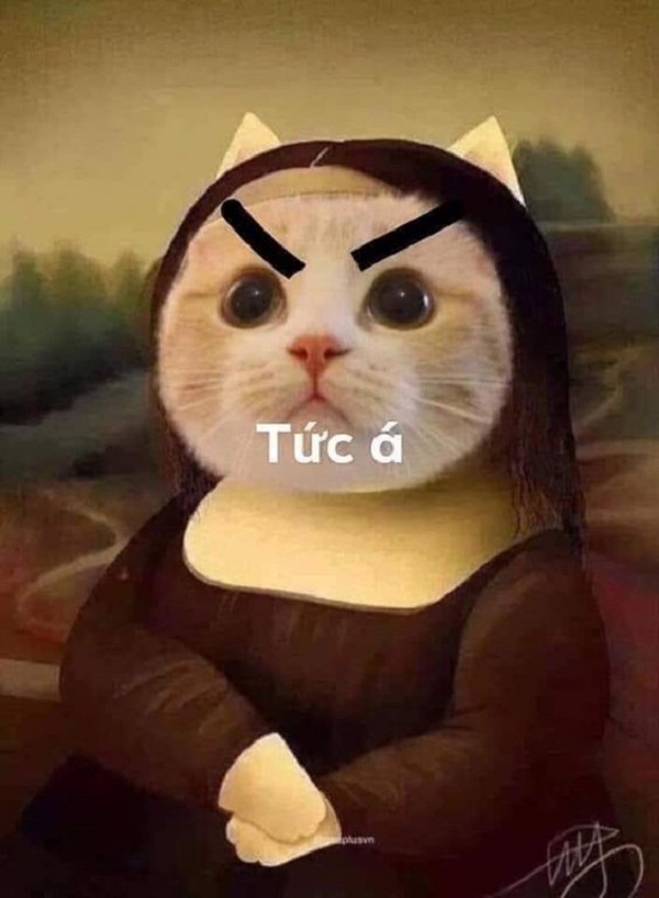 meme tức giận hài 14