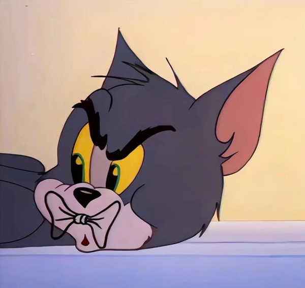 tom and jerry meme face​