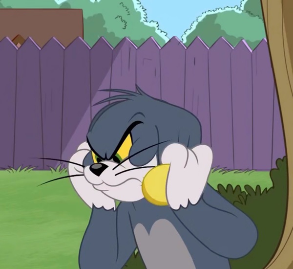 tom jerry meme​