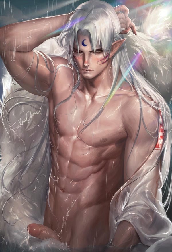 Inuyasha hentai 14