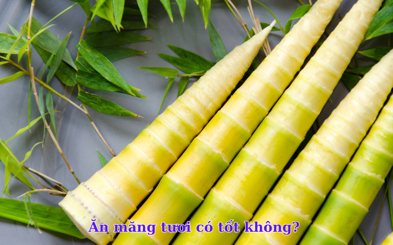 Ăn măng tươi có tốt không? 