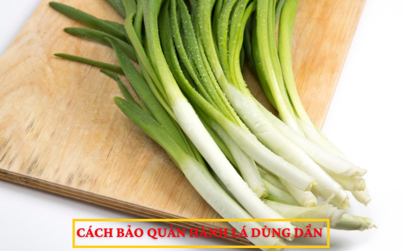 Cách bảo quản hành lá dùng dần 