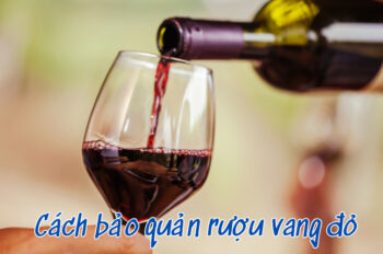 Cách bảo quản rượu vang trước và sau khi mở hiệu quả nhất