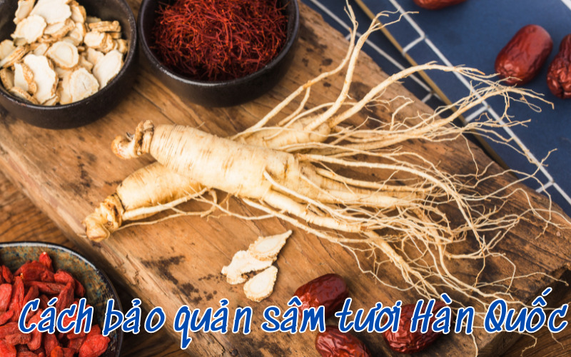 Cách bảo quản sâm tươi Hàn Quốc