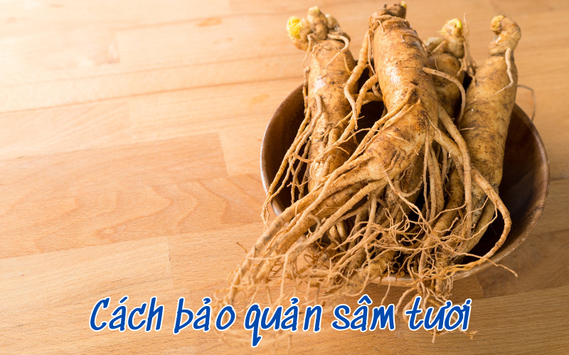 Cách bảo quản sâm tươi 