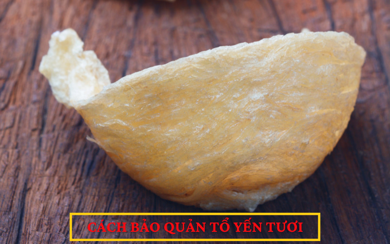 Cách bảo quản tổ yến tươi