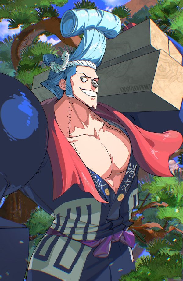 Franky One Piece 10